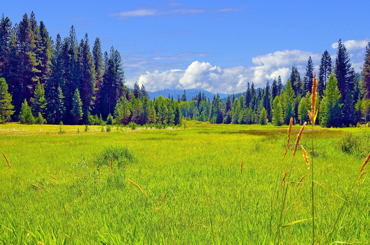 Leavenworth Camping Resort Tiny House Hanna Exteriör bild